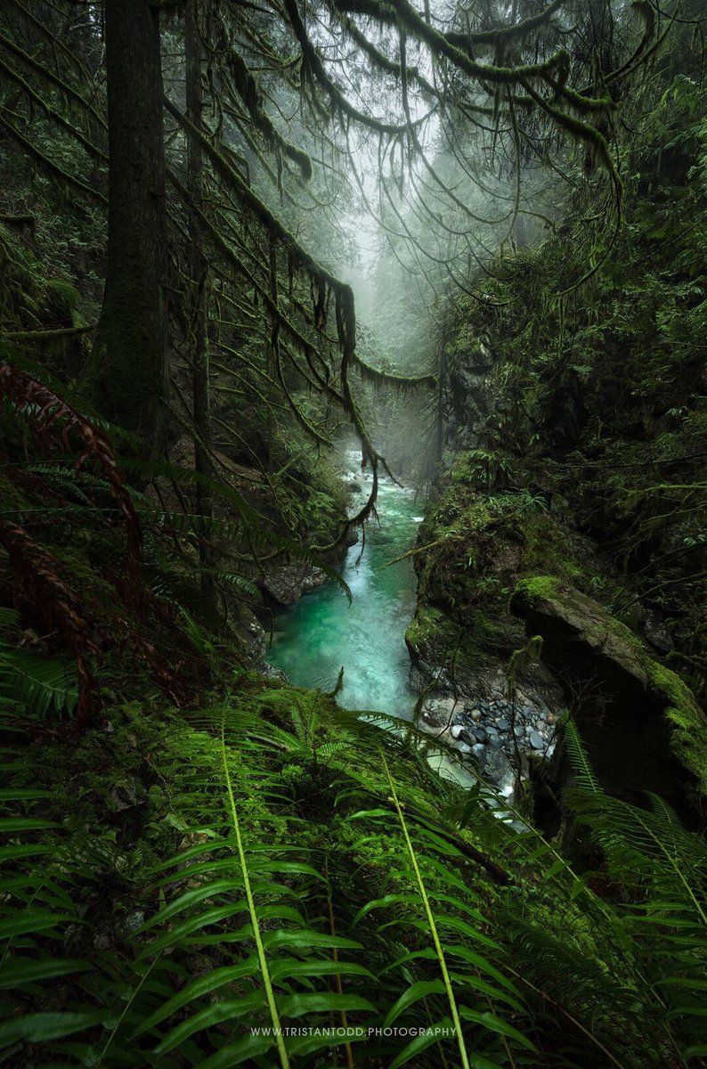 Lynn Canyon, instagram.com/tristan.todd/