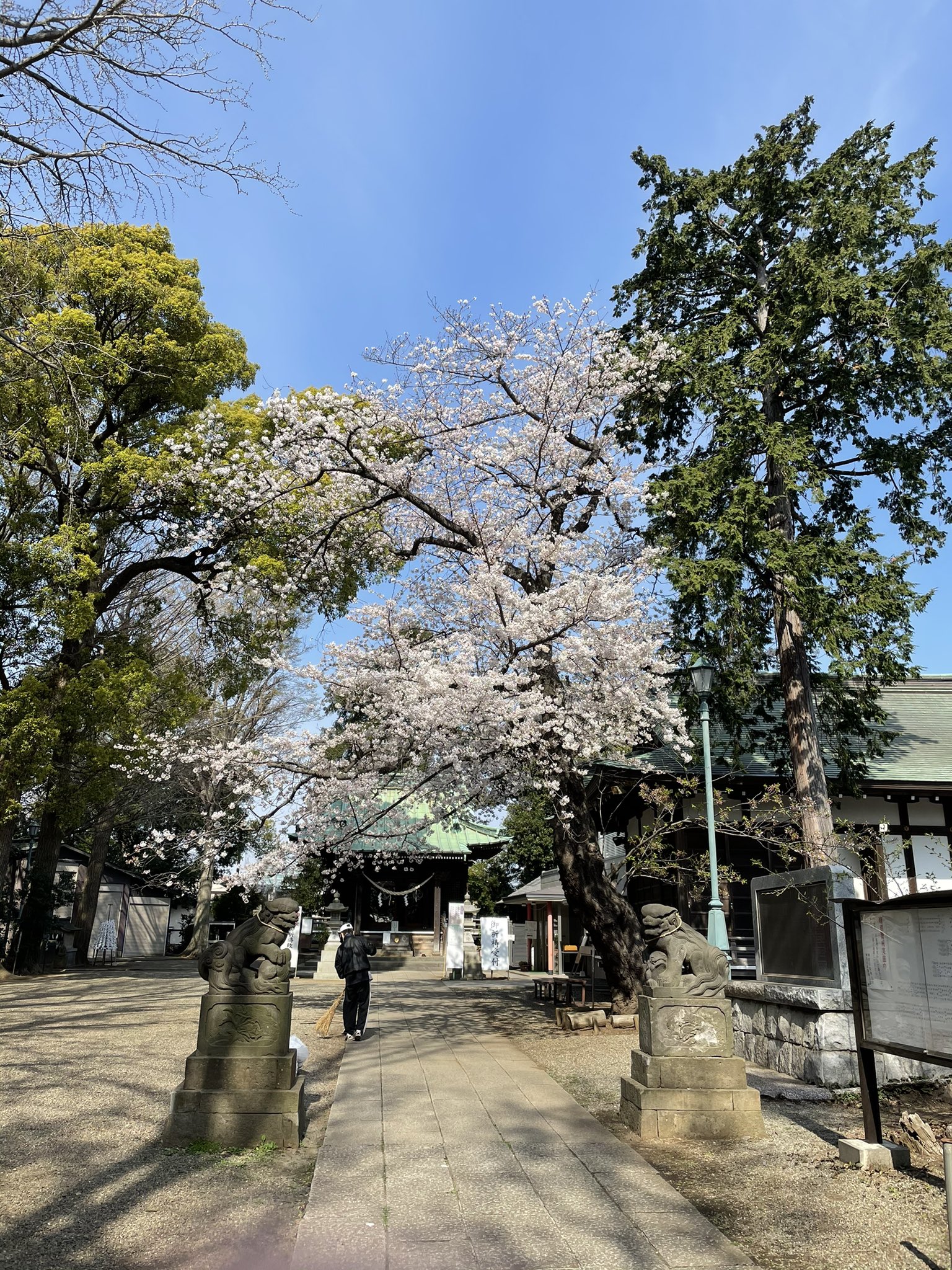 篠原八幡神社 Twitter Search Twitter