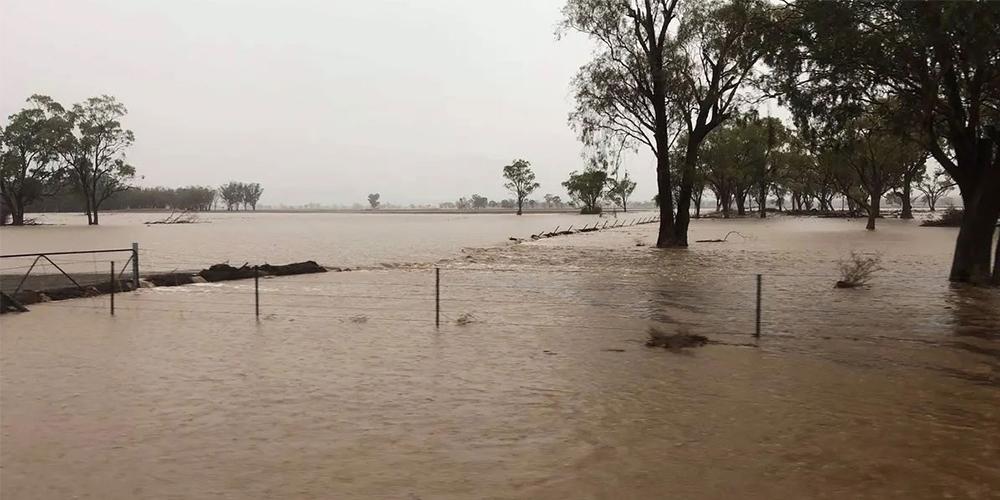 FLOOD SUPPORT 🌧️<a href="/NationalFarmers/">National Farmers' Federation</a> CEO <a href="/tonymahar/">Tony Mahar</a> says farmers can now access financial support to help w flood recovery + road repair must be a priority for all levels of government. Visit farm.hub.org.au for flood relief options. Read more👉 nff.org.au/media-release/…