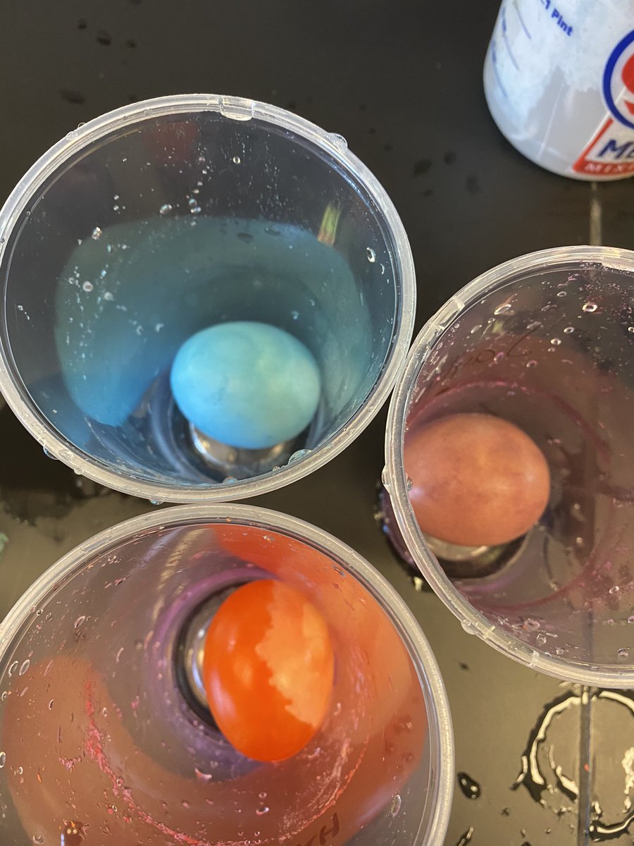 stonebrakerFHS's tweet photo. Talk about a fun week at FHS! Students conducted the rubber egg lab. They learned the properties of an egg and its contents. We dissolved the shell and they were able to do the splat test! Our chickens received a new home too! They are growing so fast! #fhsag #aged #agriculture https://t.co/gWgjIOeHMW