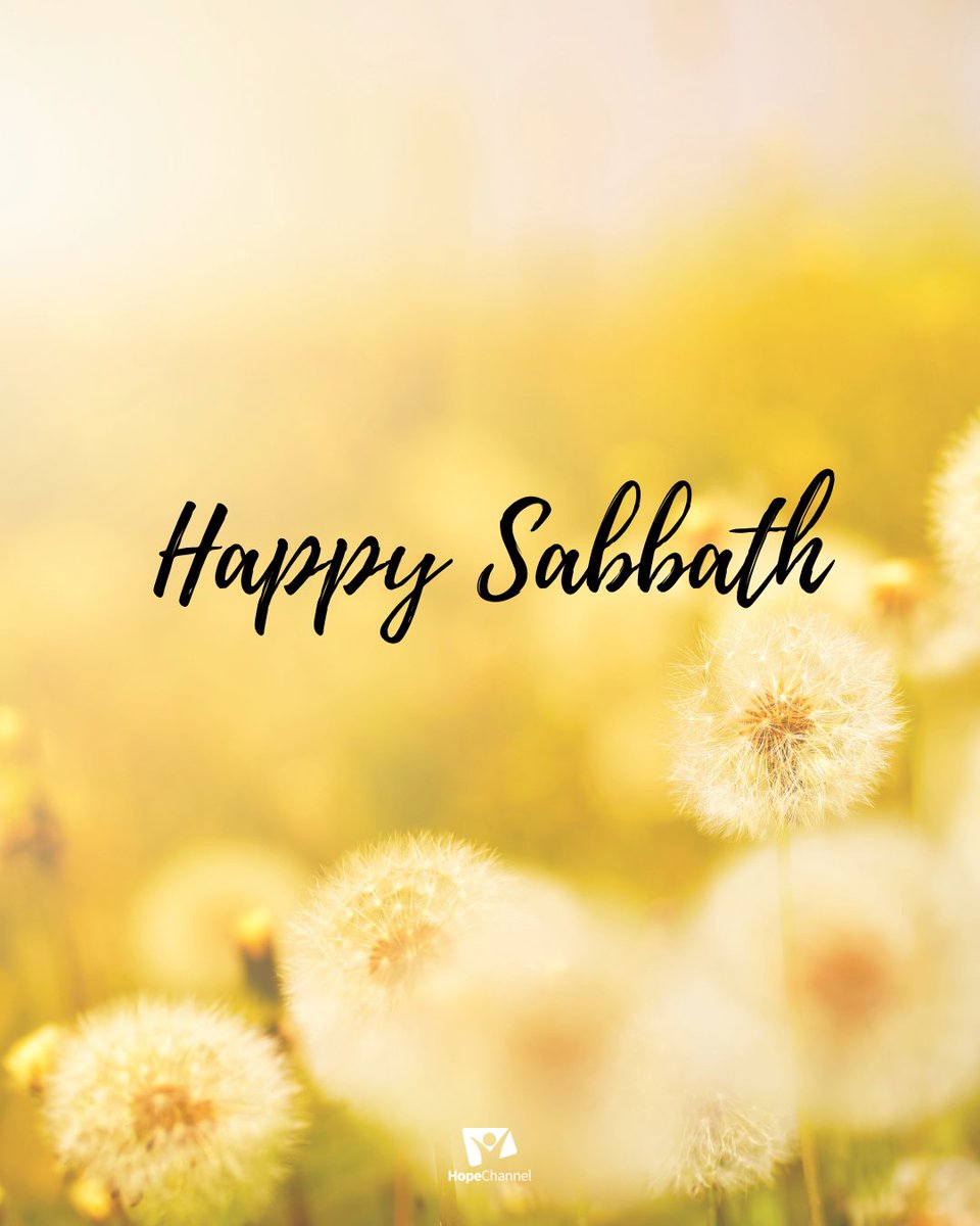 Hope_Channel's tweet photo. Happy Sabbath Hope Channel Family!

#hopechannel #happysabbath #sabbath https://t.co/Y48hzEMkcT