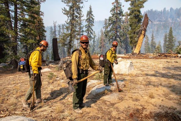 #FireTerminology: Fire Module 
Wildland fire modules are 7 to 10 person crews that can assist in planning, fire behavior monitoring, ignition, holding, project preparation and execution.