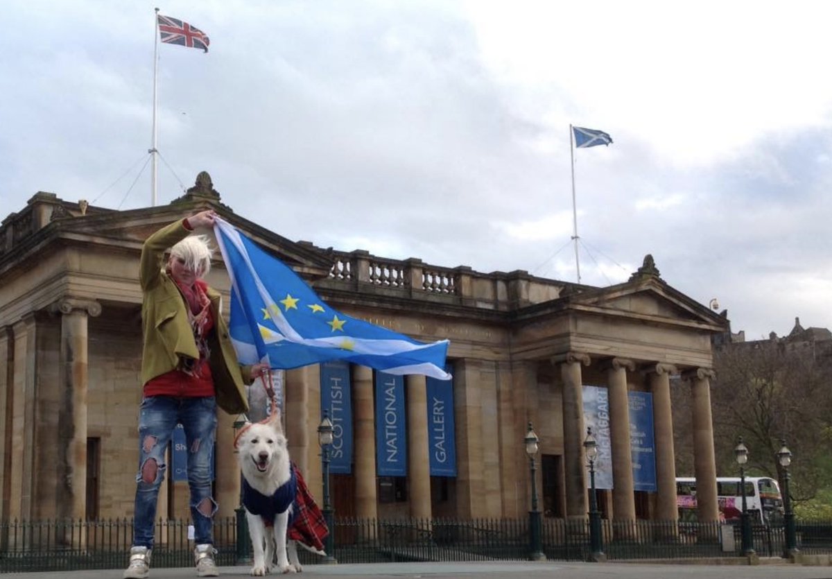 #Alba does not support using her name to aid the fracturing of the Scottish independence movement! 🐺🏴󠁧󠁢󠁳󠁣󠁴󠁿🇪🇺 @AlbaWhiteWolf #AlexSalmond is damaging his own cause!