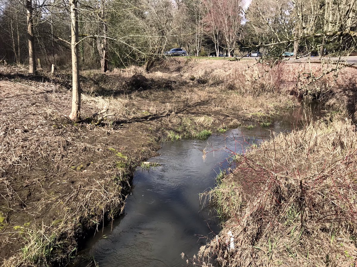TryingEyes's tweet photo. Exploring Tualatin Community Park! #cityoftualatin #cityoftigard #tualatinoregon #tigardoregon #tualatin #tigard #exploring #tualatinrivergreenwaytrail #park #greenwaytrail #bridges #river #wetlands #naturalarea #wildlife https://t.co/EjeGdCudFe