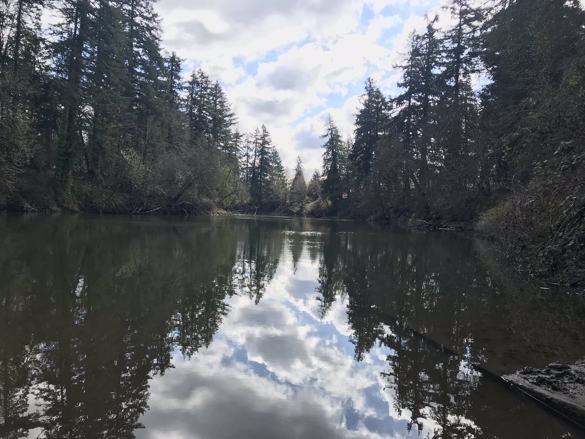 TryingEyes's tweet photo. Exploring Tualatin Community Park! #cityoftualatin #cityoftigard #tualatinoregon #tigardoregon #tualatin #tigard #exploring #tualatinrivergreenwaytrail #park #greenwaytrail #bridges #river #wetlands #naturalarea #wildlife https://t.co/EjeGdCudFe