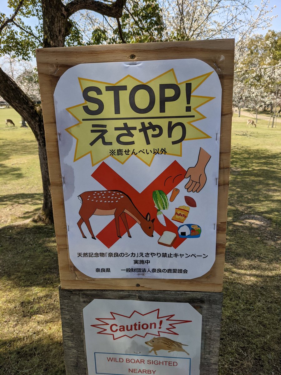 Akimov9's tweet photo. 奈良公園
鹿せんべい以外の食べ物を与えるのはやめましょう https://t.co/Z6P7jeSzZS
