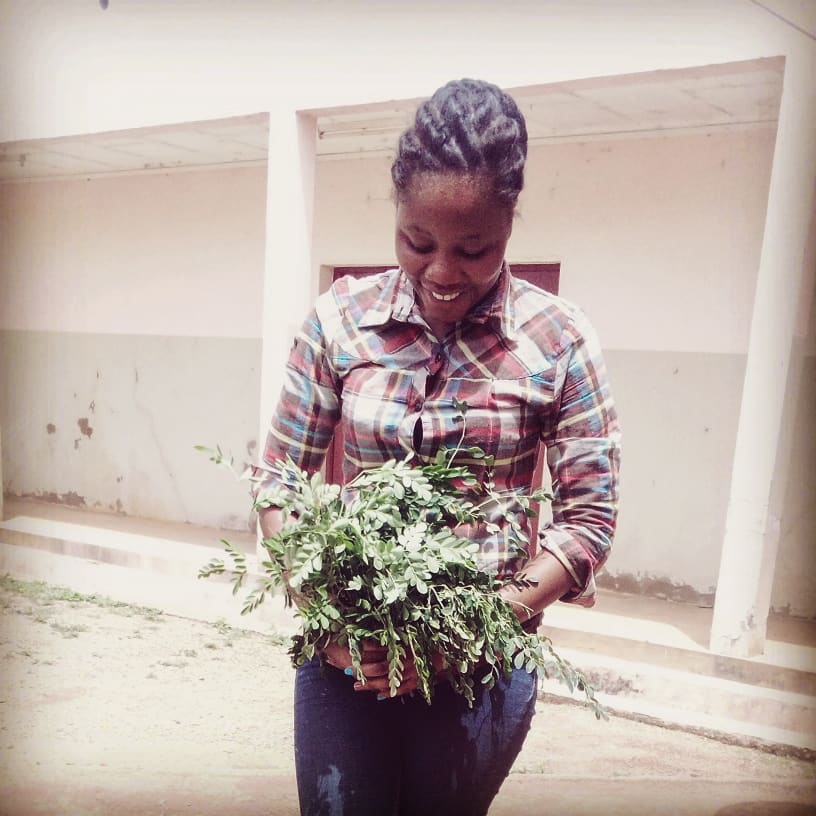 Amazing day with my Moringa oleifera