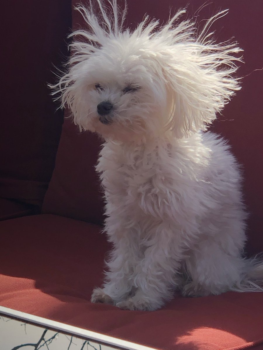 AnnaCurrell's tweet image. 