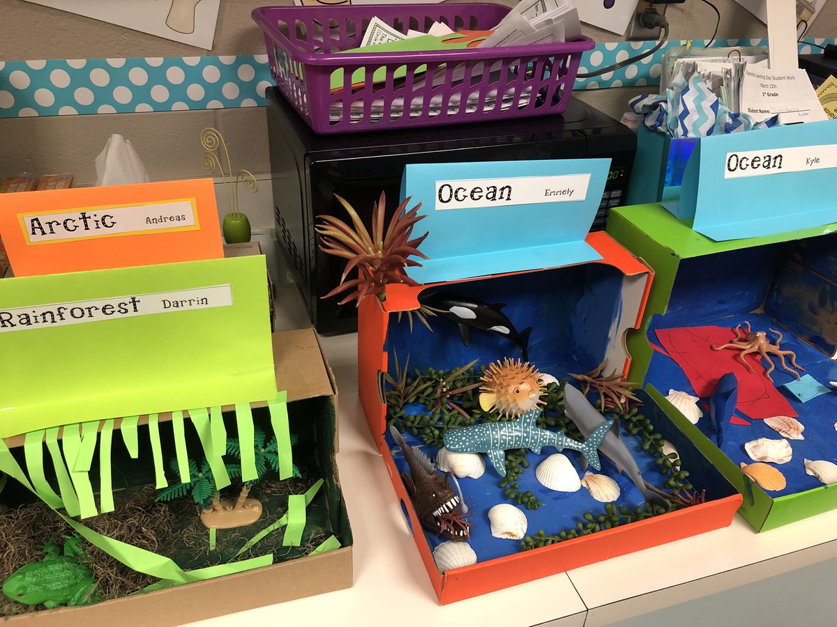 MrsHubble's tweet photo. We loved learning about habitats in first grade @erwannwilson #bangbears https://t.co/VpZMYkfocn