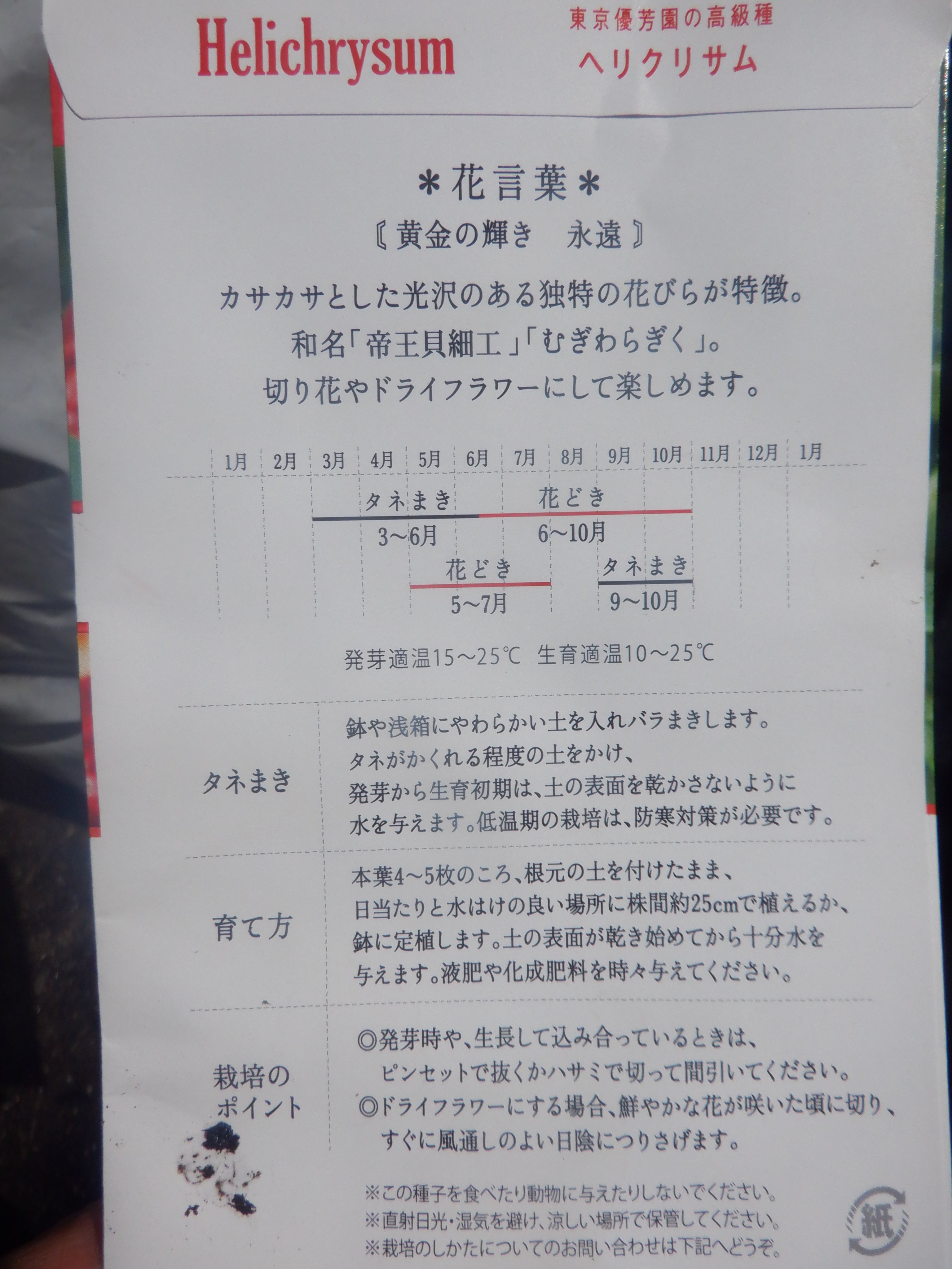 تويتر うさ على تويتر 4 1 今まで種を蒔けども発芽した経験がないヘリクリサム 帝王貝細工 があっさり発芽しています 大事に育てなければだわ T Co Ysvbuh5k2c