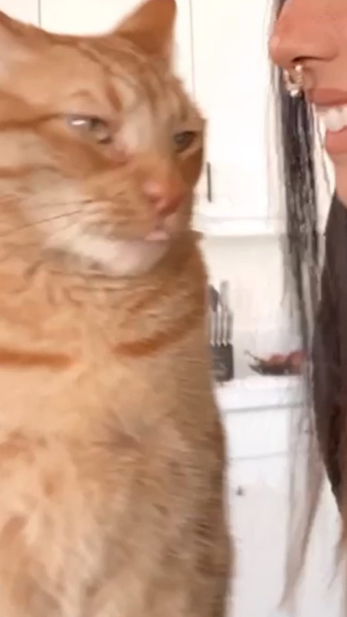 Britney Diane (@britneydiane) on Twitter photo 