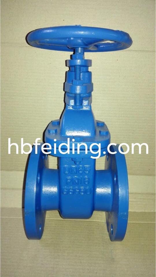 DIN gate valve #valve #gate #pipe #fitting