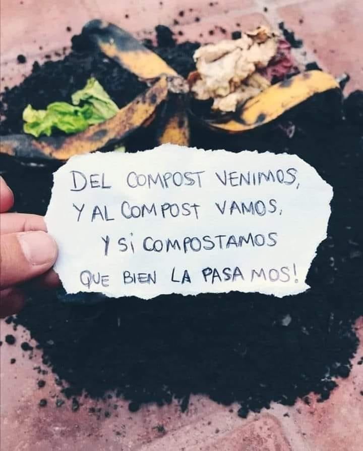 EcoInventos's tweet photo. Uno de los placeres de la vida...

Guía para el compostaje casero 👇
https://t.co/pmjxr3U1QO https://t.co/TsAEKDFiS4