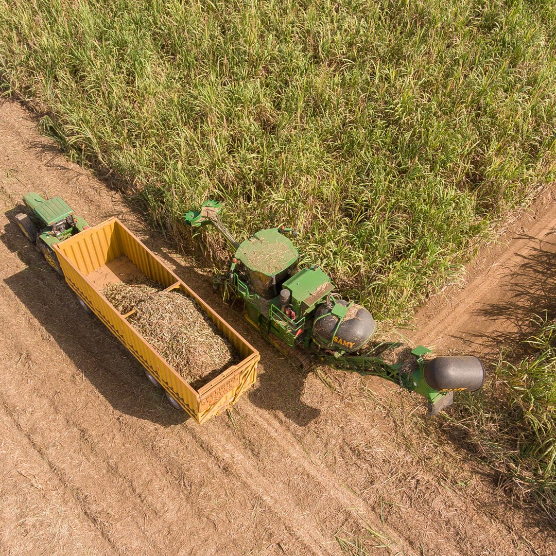 La Asociación de Azúcares y Alcoholes de Panamá, reúne al gremio productor de caña de nuestra nación.