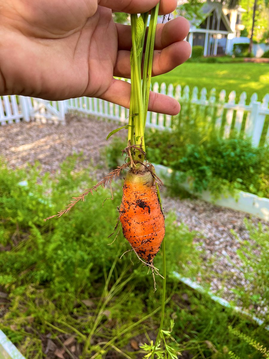 Life’s filled with a lot more smiles in the mind of wanna be urologist :) #MedTwitter