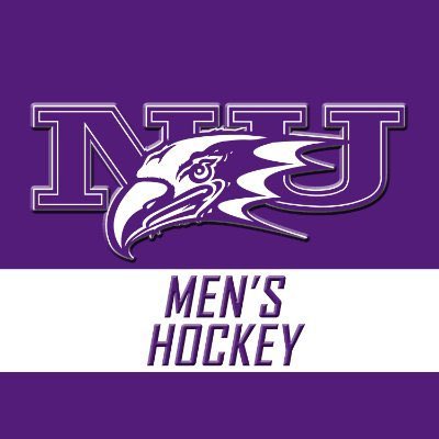 I would like to thank <a href="/UAAHockey/">UAA Hockey</a> for the opportunity to start my college career. With that being said, I am thrilled to announce that I will be continuing my education and hockey career with <a href="/NiagaraMHKY/">Niagara University Men's Hockey</a>. #purpleeagles🦅