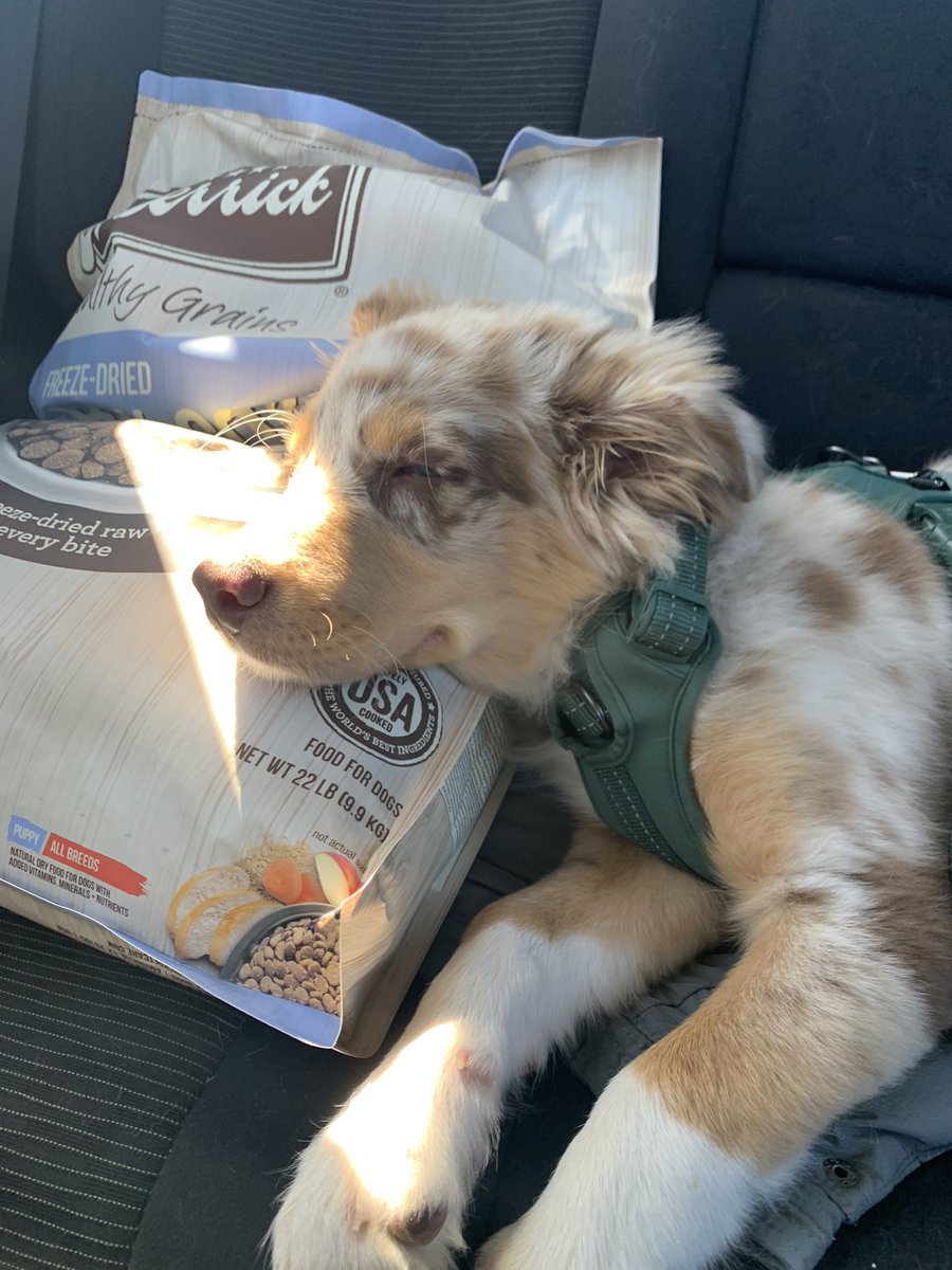 iammadddd's tweet photo. dreaming of food ☁️🥓 https://t.co/9Mq6P5IVn9