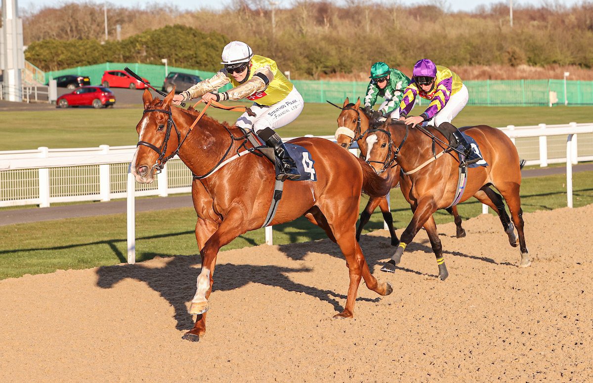jomason90's tweet image. 🏆Exhalation 🏆 wins gallantly @NewcastleRaces for the @MakinRacing team and owner Mr P Morrison at 80-1  #winner #awracing #exhalation
Sponsored by @StrathonPark