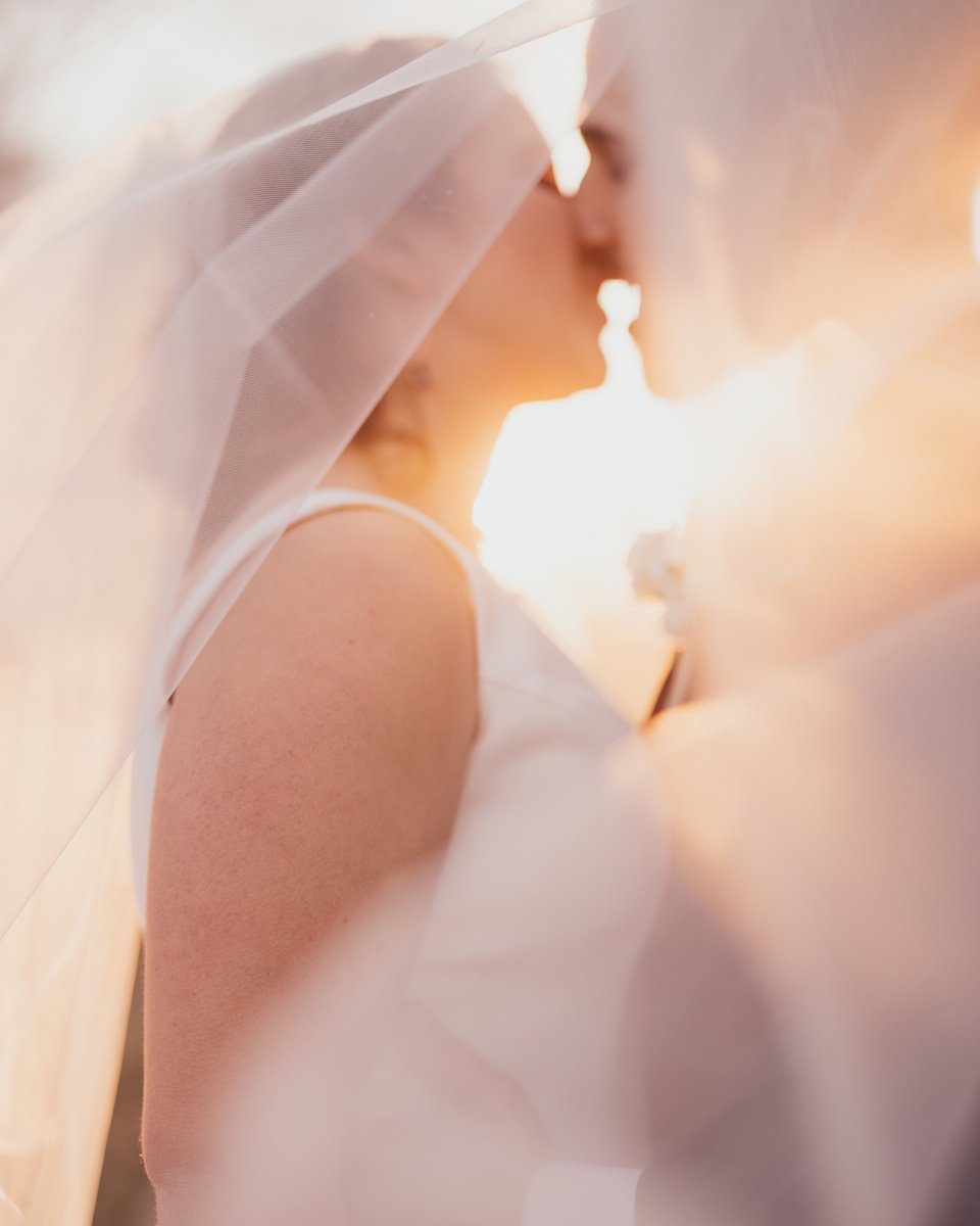 AmativeCreative's tweet photo. Sometimes my favorite images are the ones that aren’t photographically perfect... but they just make you FEEL. https://t.co/eJk8IzGXEX