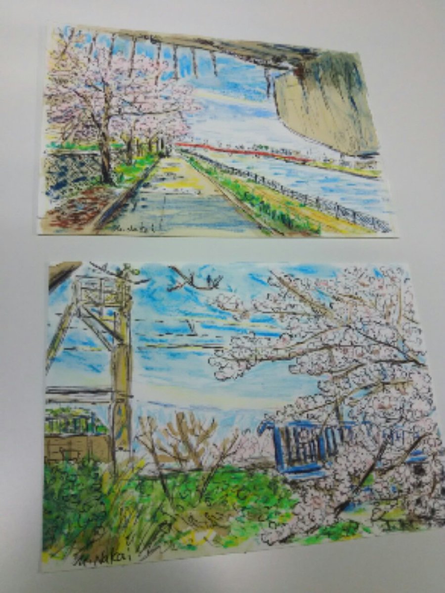 ギャラリーねこい 本日のイラスト さくらの日 なのでお花見気分を っ W っ場所に合わせて描き方を変えています イラスト アナログイラスト 新潟 桜