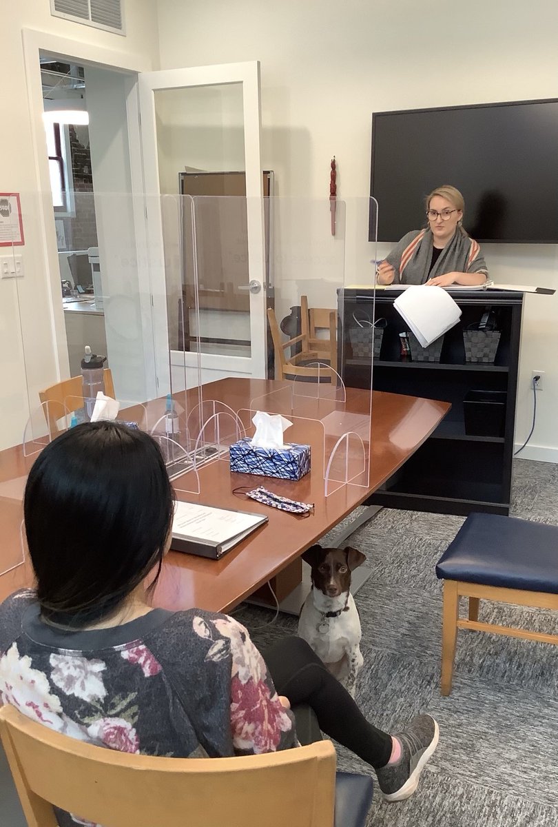 Rise Women's Legal Centre tweet media