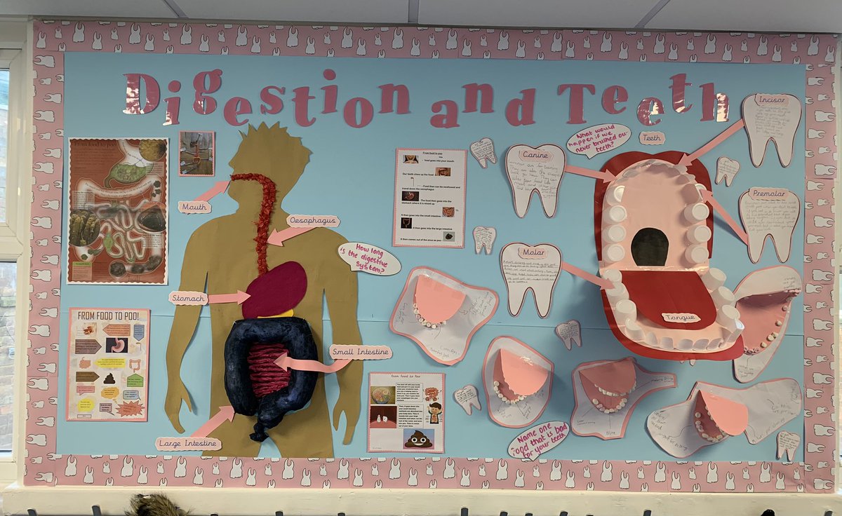 MissEmilyCross2's tweet photo. Reminiscing about my time in school and making this gorgeous display 🤩@misscnewsome @BrockholesCofE https://t.co/7NVUa6MWcq