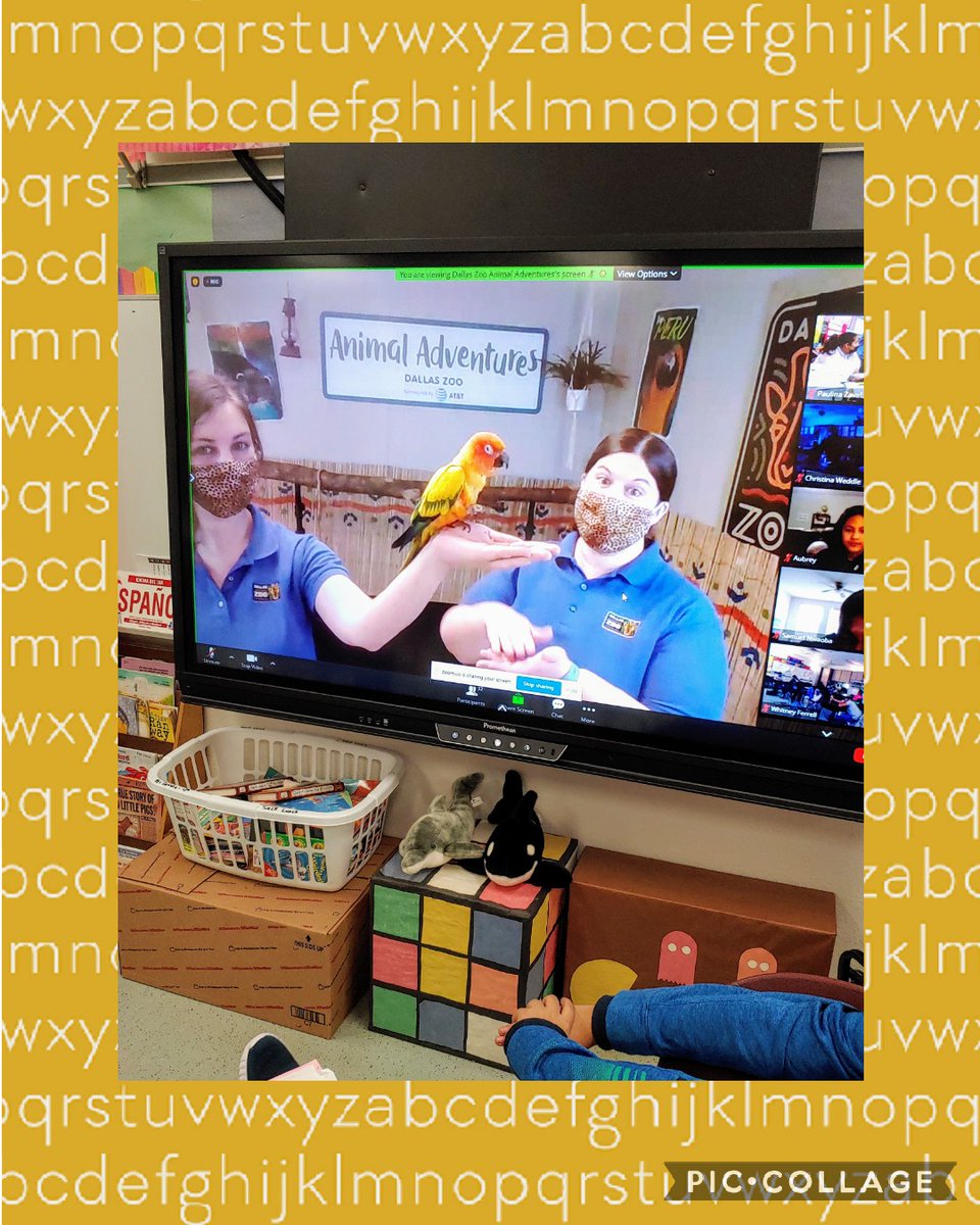 BorjonZavala's tweet photo. Our Friday! Virtual Field Trip "Animal Adventures" at Dallas Zoo 🐢🐦 Staff Lunch by Cross Timbers Hope Center 🍔🌟💙🙂
Gracias!
@RiveraElem 
@DallasZoo 
@dentonisd 
@DUALDENTON 
@BridgettDeeRob1 https://t.co/GMBBkgULRC
