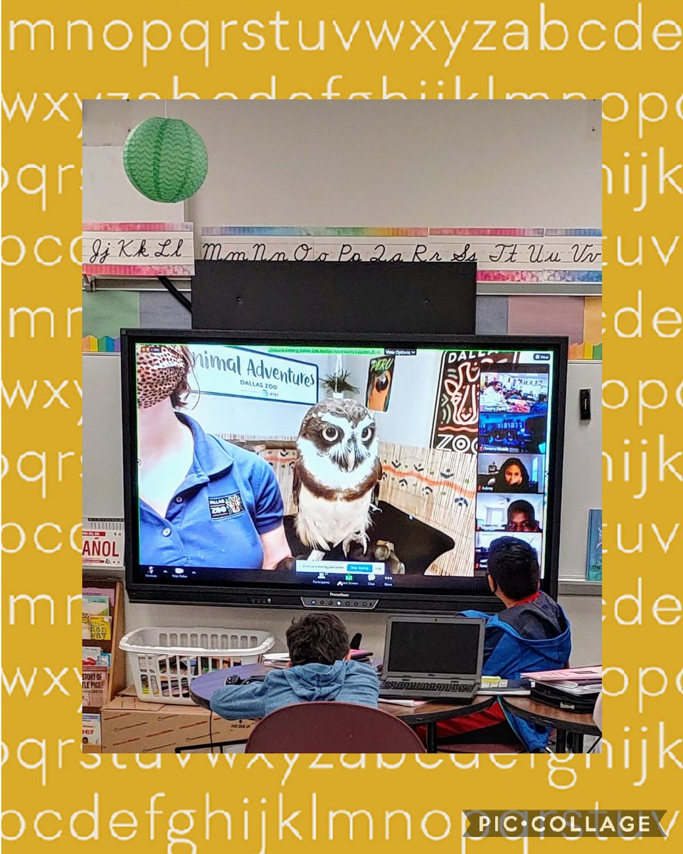 BorjonZavala's tweet photo. Our Friday! Virtual Field Trip "Animal Adventures" at Dallas Zoo 🐢🐦 Staff Lunch by Cross Timbers Hope Center 🍔🌟💙🙂
Gracias!
@RiveraElem 
@DallasZoo 
@dentonisd 
@DUALDENTON 
@BridgettDeeRob1 https://t.co/GMBBkgULRC