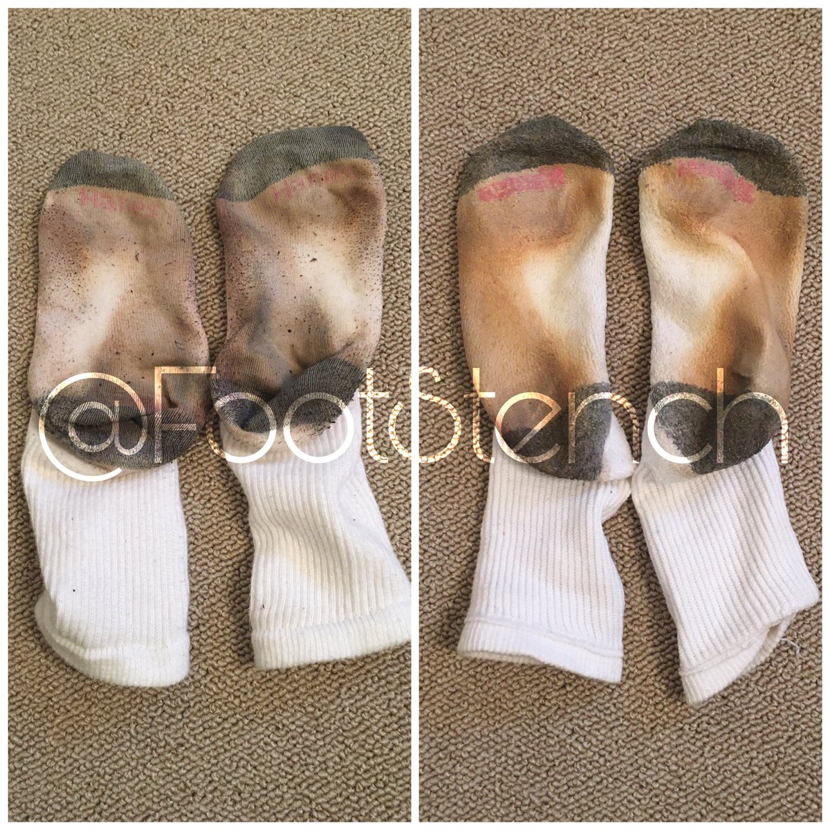 @FootStench Queenie tweet media