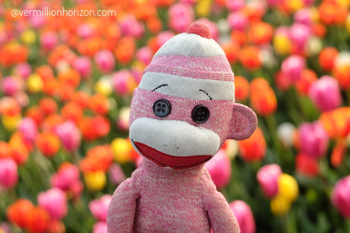 LilSquirtMonkey's tweet photo. Welcoming spring (Shanghai, China)

#Shanghai #China #JingAn #DaningLingshiPark #Park #Spring #Flowers #Tulips #縫い撮り #SockMonkey #BigAdventures #FineFamilyAndFriends #上海 #中国 #公園 #春 #花 https://t.co/yFjSvcBVjy