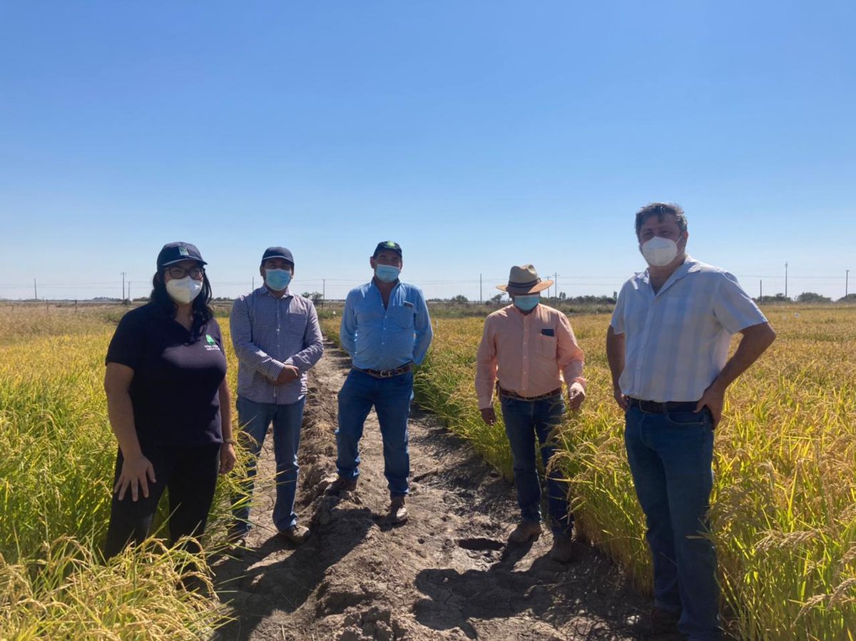 Fernando Barrera Arenas tweet media