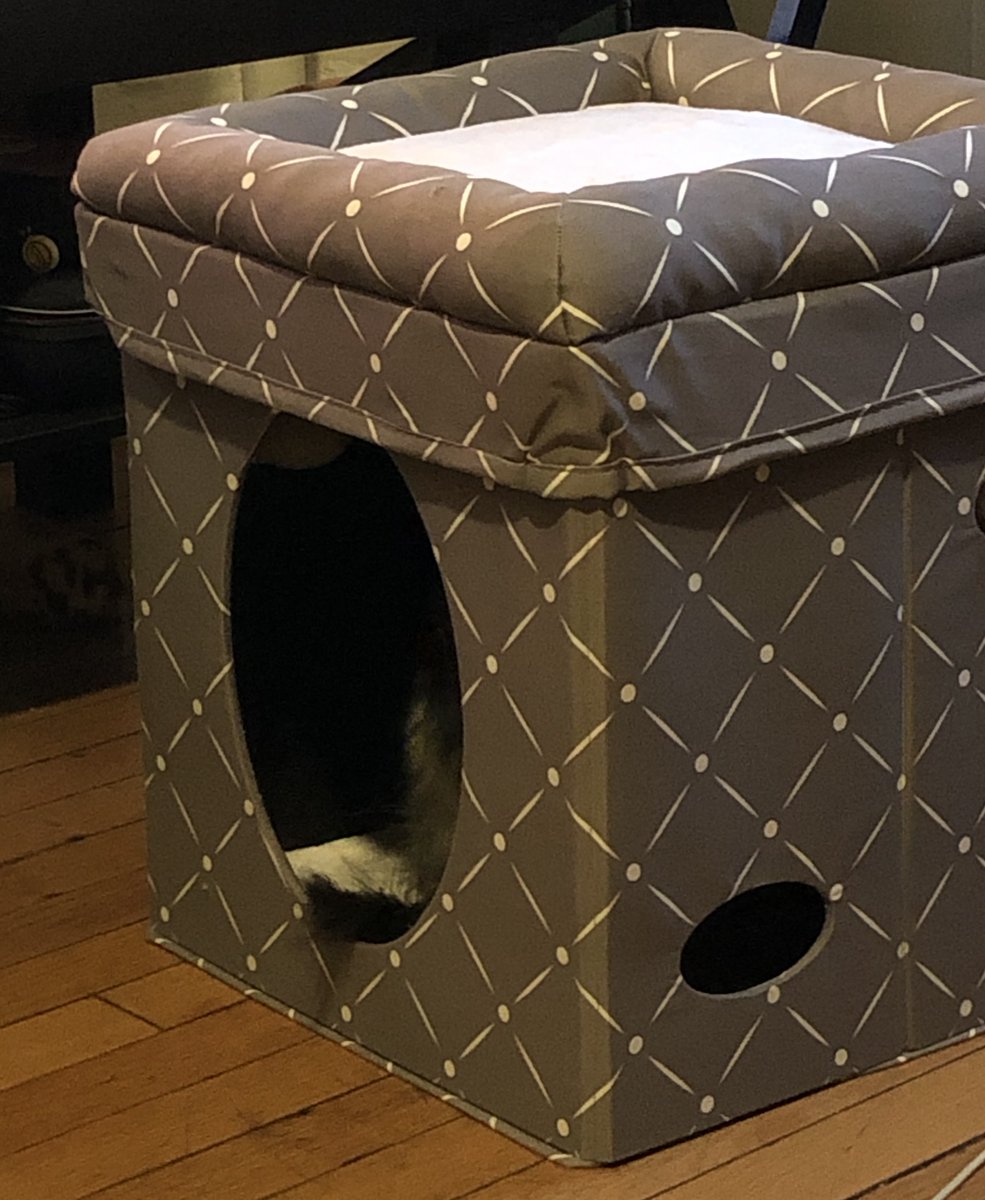 Her new house came less than 24 hours after we ordered it from  @Chewy and I think she's a fan