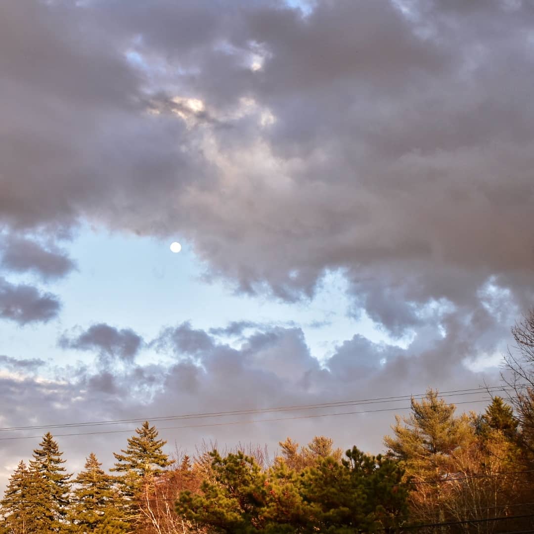 mellanella's tweet photo. That sky tonight though #chebeague #maine https://t.co/Wvwz1qwVg1