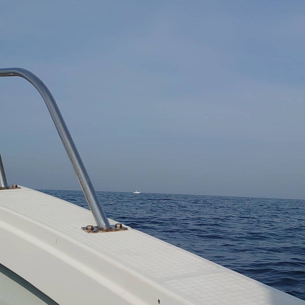 Rockz いい天気 釣り日和 釣果は上々 久美浜 ちどり 釣行 T Co 3gvgnjfydm Twitter