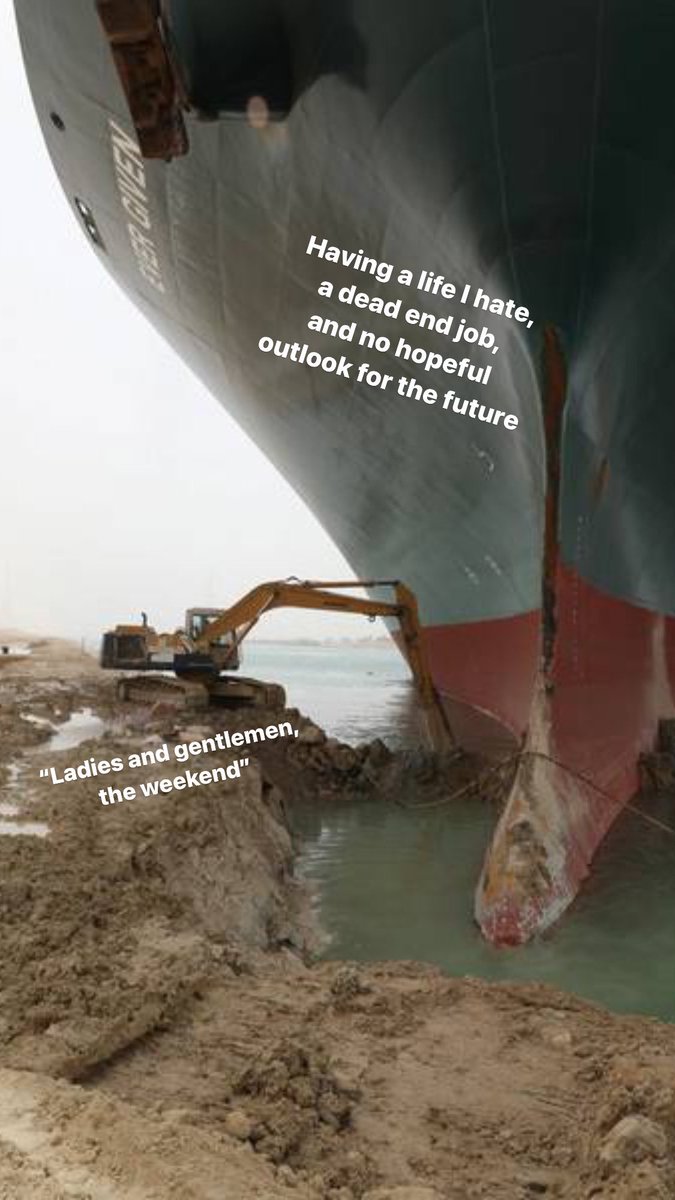 Captain Hog tweet media