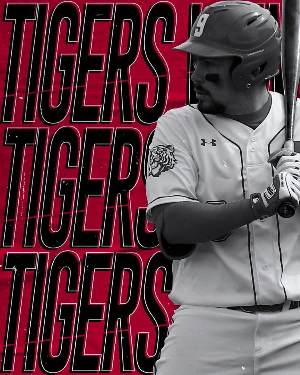 WittAthletics's tweet photo. Baseball improves to 8-0 after defeating Cedarville with a 17-5 score! 

The eight game winning streak ties the programs longest winning streak which was set in 2005 where the Tigers winning streak which started with a win over Cedarville. #TigerUp https://t.co/rDZyGuUnKc