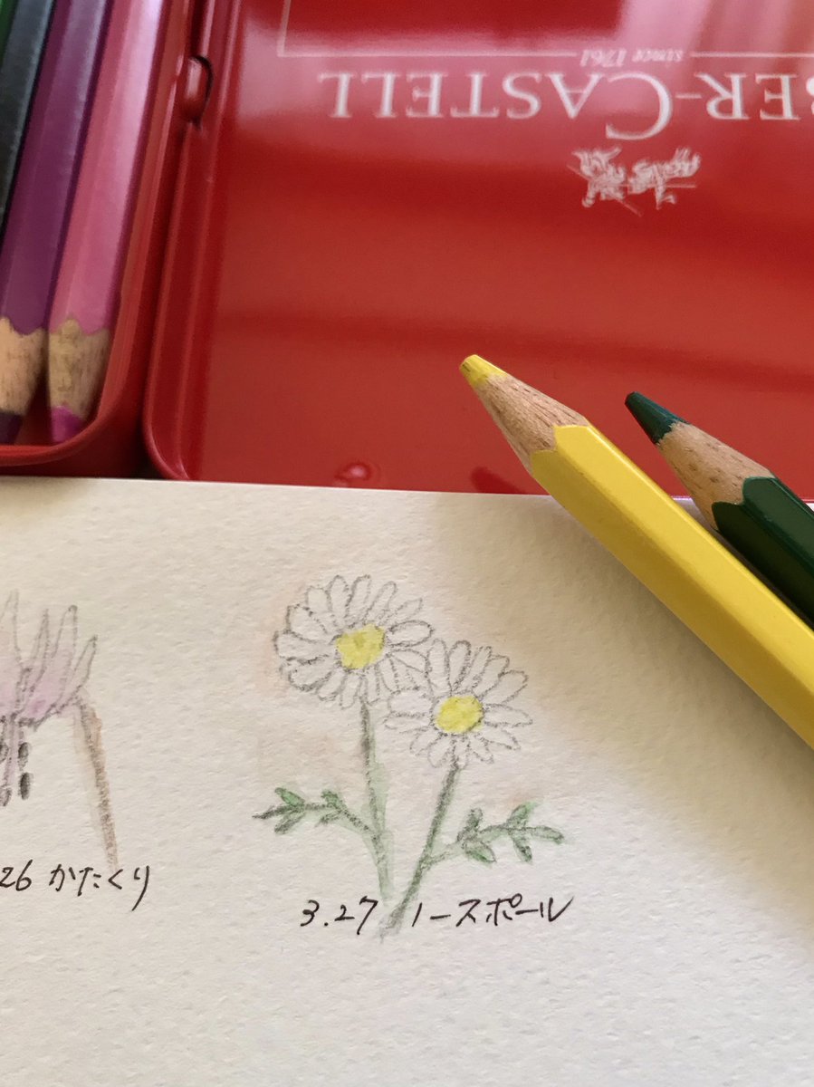 Atelier M Birthday Flowers 3月27日の誕生花は ノースポール 花言葉は 誠実 清潔 など お誕生日の皆さん おめでとうございます 白い小花が咲き広がる景色は 北極 ノースポール を思わせることから付いた花の名 3月27日誕生日 誕生花