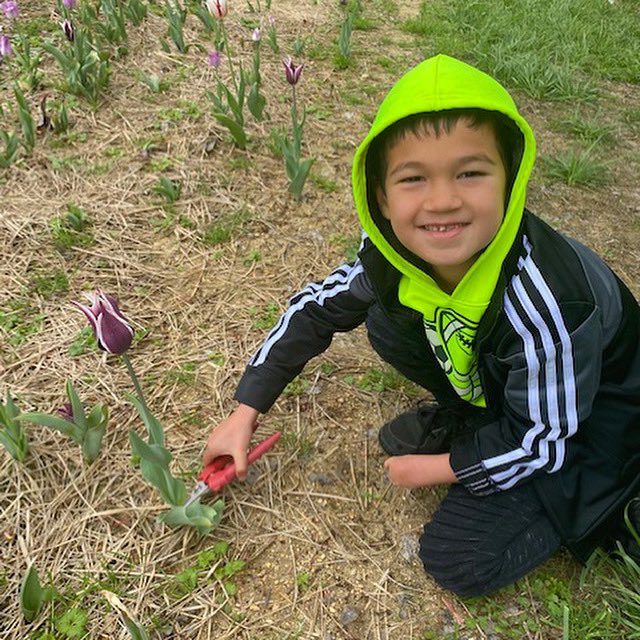 Spring has sprung 🌷