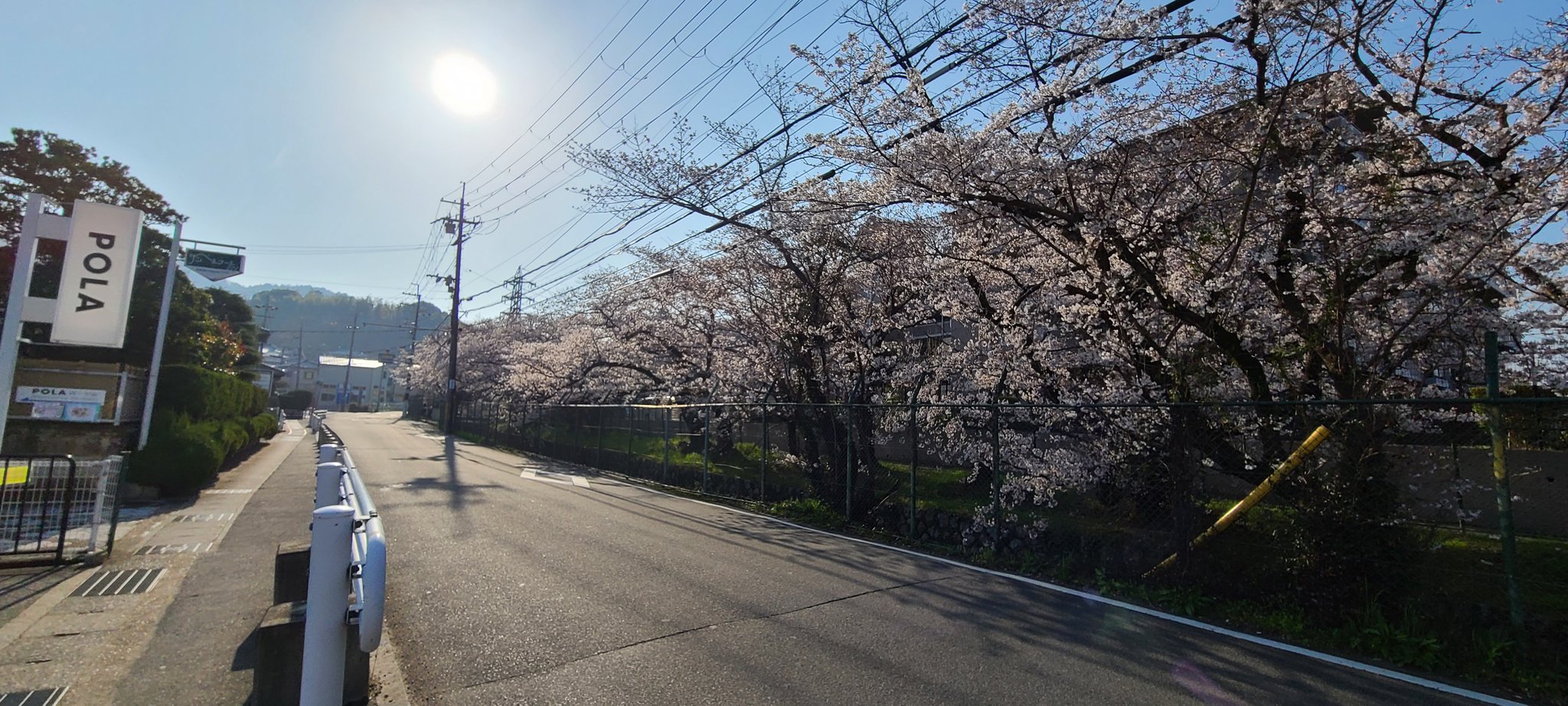 宇治観光開発宇治駐車場 3月28日土曜日 宇治駐車場朝からたくさんの来店ありがとうございます まだまだ空車ありますので 桜を満喫して宇治スイーツ堪能してください 平等院まで目の前のため 最短駐車場 です あと 三室戸寺までの桜綺麗です
