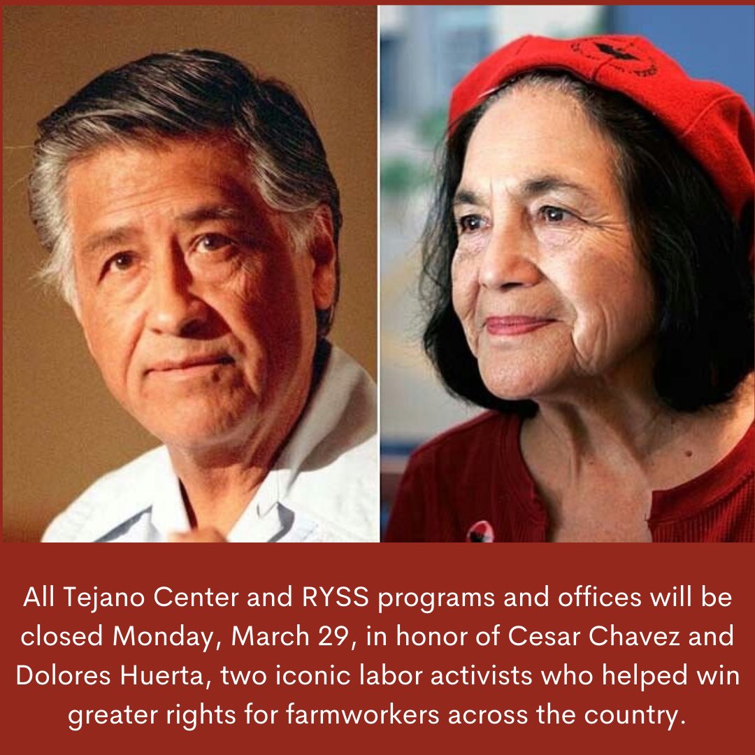 P-STEM Academy tweet media