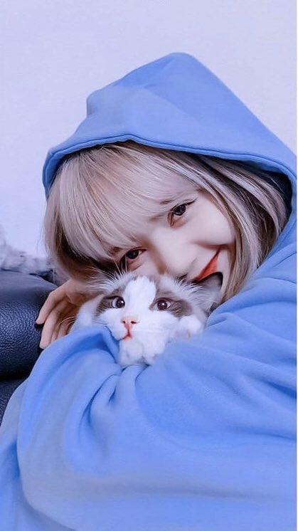 HAPPY BIRTHDAY LISA!! And the cats ofc