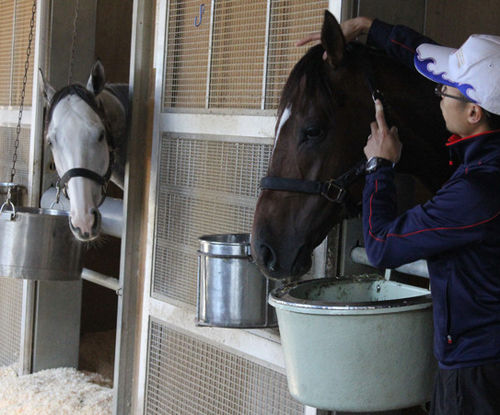 ゴダード ヤス S Tweet Mouosaegakikan ゴールドシップ ノックをするべきだったかな ジャスタウェイ いいさ オレときさまの仲だ Trendsmap