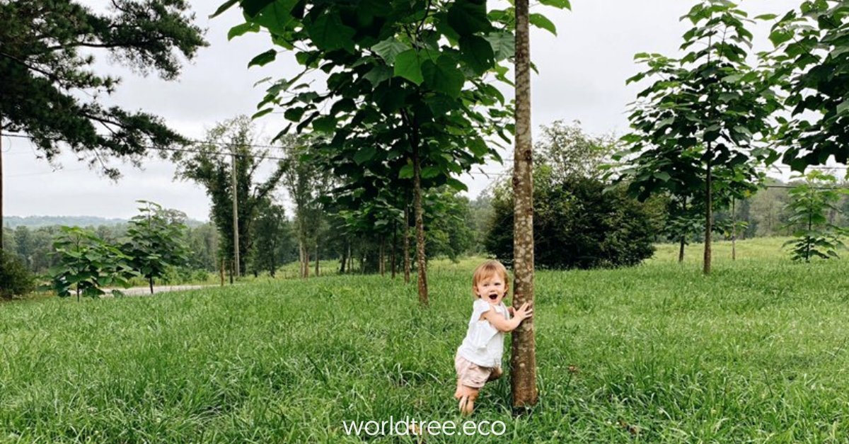 WorldTreeEco's tweet photo. Stellar #article from @FarmersAlmanac on the power of #EmpressSplendor #Paulownia!
➡️ https://t.co/DJ1ZRrWtOw 

#WorldTree #regenerativeagriculture #sustainablefarming #FarmerFriday https://t.co/LWSvyTngeT