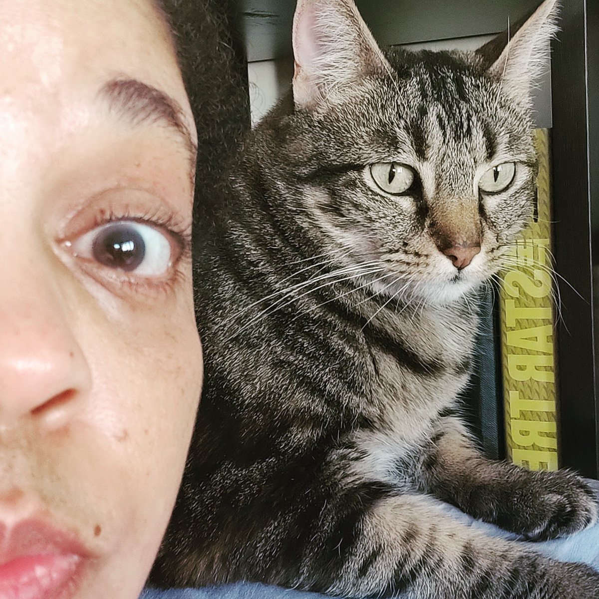 SophiaFlotW's tweet photo. Here she goes again! My coworker with the personal space issues!
Can somebody call HR please?
I don't need this kind of micromanaging!

#CatsOfTwitter #coworkersbelike #personalspace #darncat #catmomlife #cattweet #cats https://t.co/gxj6OR67F6