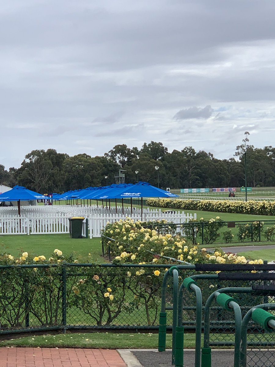 1000giggles's tweet photo. Going to be a sensational day for #GoldenMile2021 @_BendigoJC @Country_Racing @Racing @RacingInsider #VobisGold Best of luck to all #OwnersConnections and all the best to @aus_turf_club for #GoldenSlipper2021 🐎👌😁 https://t.co/zmQbd0g2Cf