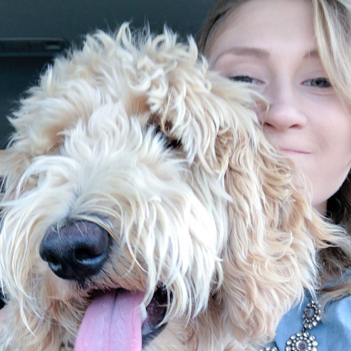 Today, we'd like to introduce you to Katelyn Baumer, a graduate research assistant in the Chemistry and Biochemistry Department. To read more about her research with ALS, check out our blog post on our website!
baylorwise.wixsite.com/baylorwise/pos…