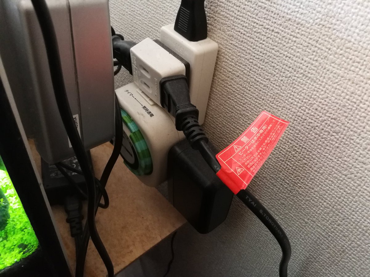 tottototoshi's tweet image. #水槽 の照明用のタイマーがコチコチうるさいので思い切って #AlexaPlug に替えてやった
2個目なんで不安はないし設定済みなんで挿すだけで導入終わり
アプリでオンオフを定型アクションで時間設定
静かで確実で良いね
しかしほこっとるなw掃除しよ