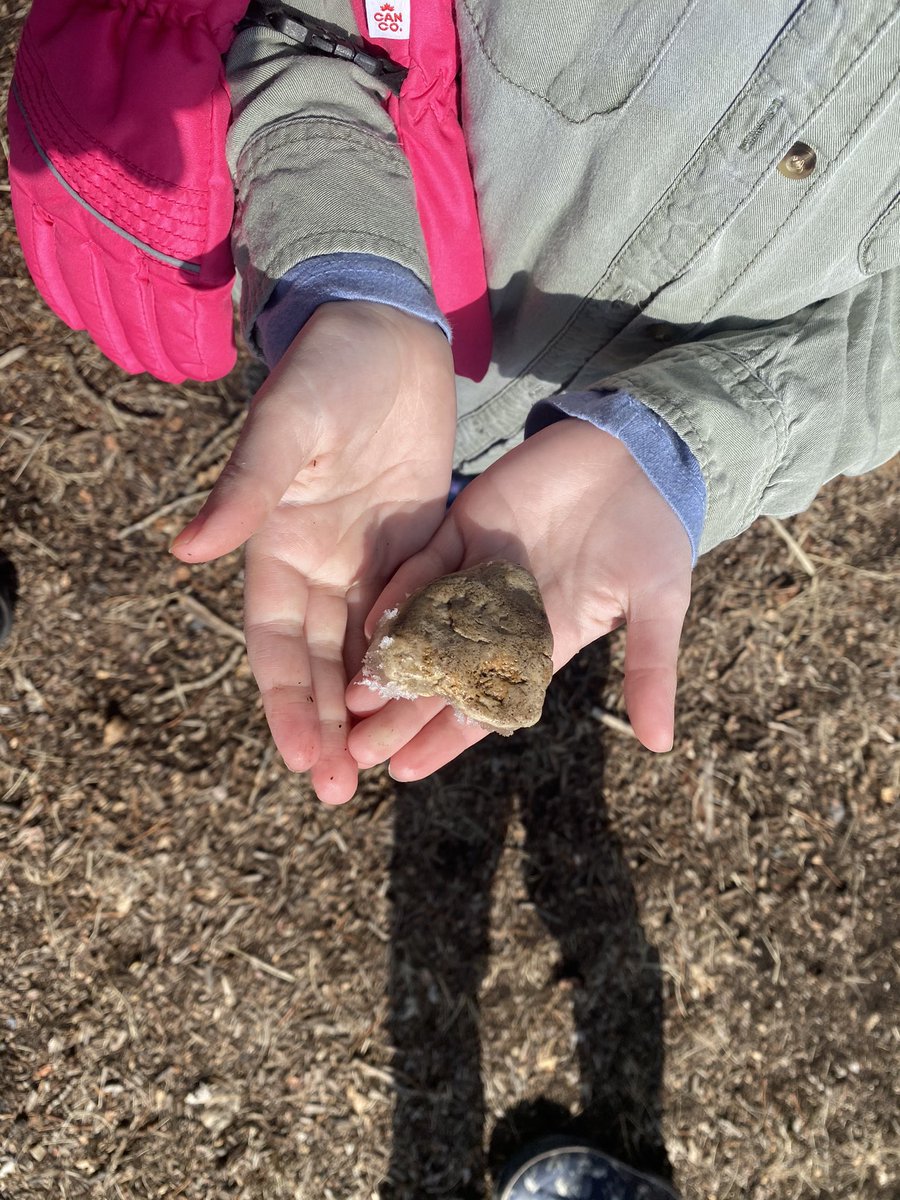 KatlinStrand's tweet photo. Today for Forest Friday we went down to the river valley &amp; read Trudy’s Rock Story by Trudy Spiller. This book is great for making connections to the land, nature, &amp; our feelings. Students then looked for their own rock they could share their feelings with @bigrockbadger @fsd38 https://t.co/Kgl2lIV4xE