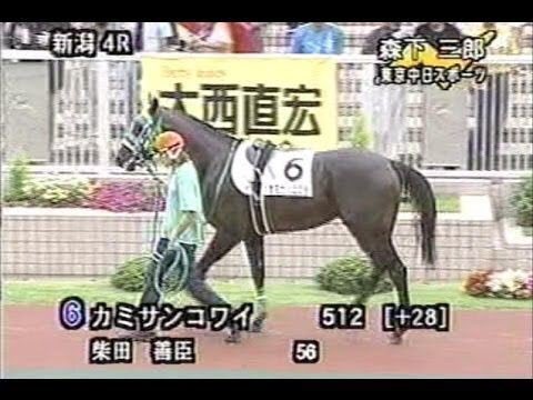 競走馬の名前が面白い よりすぐり10選 実況で面白さ倍増