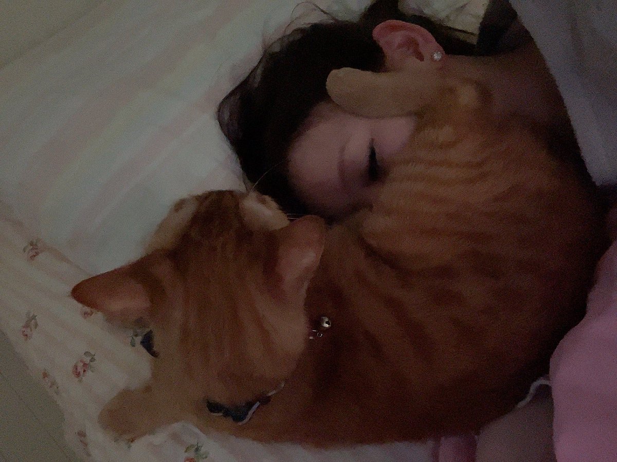 しぶとい中川翔子 朝起きたらメポのお腹でもふもふだった